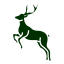 icons8 cerf 64