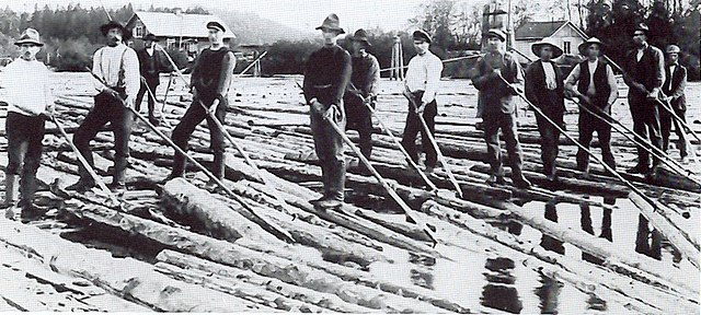 log driver otter lake