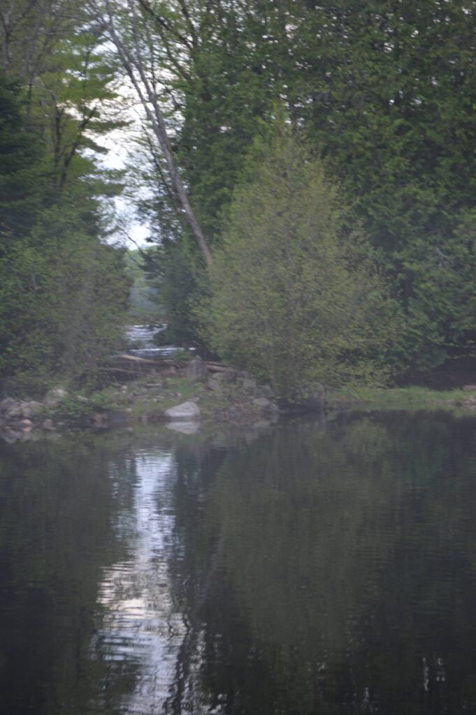 Photo nature Pourvoirie Tisonagan Pourvoirie Lac de L'Indienne (12) Squaw Lake Outfitter