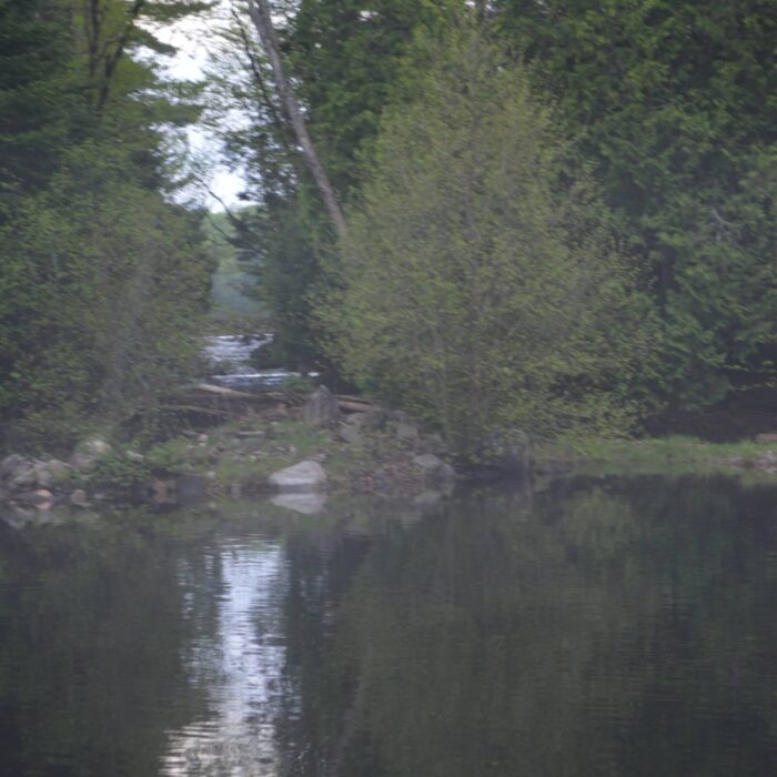 Photo nature Pourvoirie Tisonagan Pourvoirie Lac de L'Indienne (12) Squaw Lake Outfitter