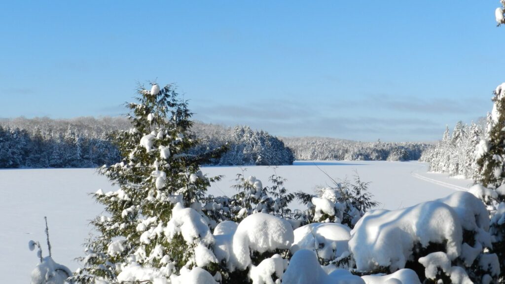 Photo nature Pourvoirie Tisonagan Pourvoirie Lac de L'Indienne (22) Squaw Lake Outfitter