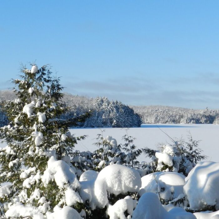 Photo nature Pourvoirie Tisonagan Pourvoirie Lac de L'Indienne (22) Squaw Lake Outfitter