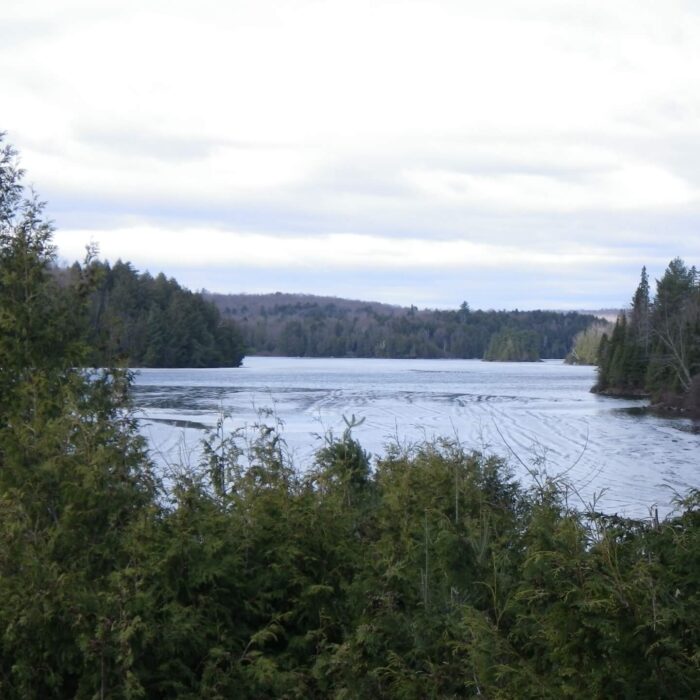 Photo nature Pourvoirie Tisonagan Pourvoirie Lac de L'Indienne (4) Squaw Lake Outfitter